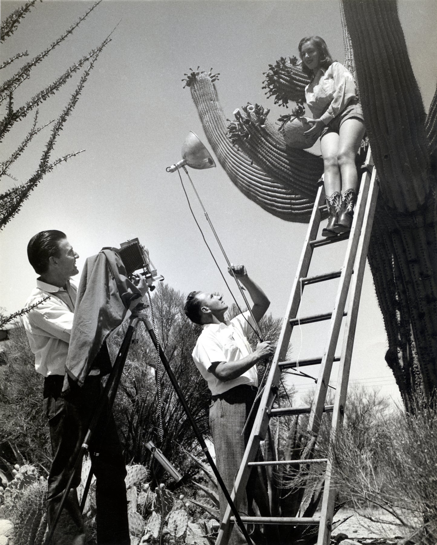 "In the Arms of Saguaros - Iconography of the Giant Cactus"