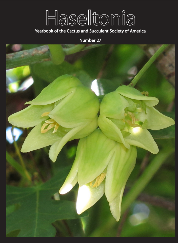 Haseltonia 27