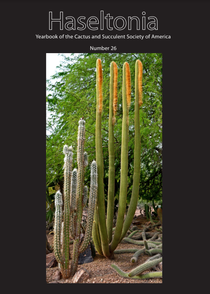 Haseltonia 26
