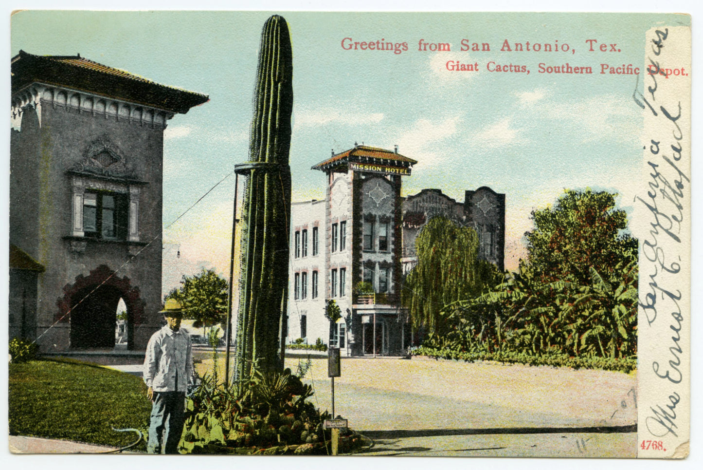"In the Arms of Saguaros - Iconography of the Giant Cactus"