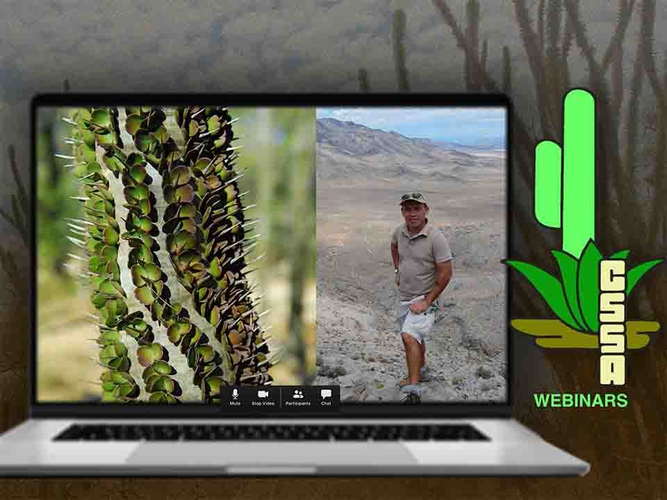 cssa-webinar-fund-1