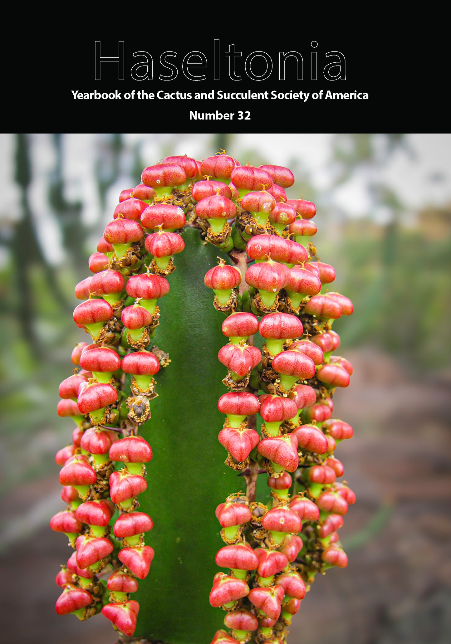 Haseltonia 32 - Digital Version Only