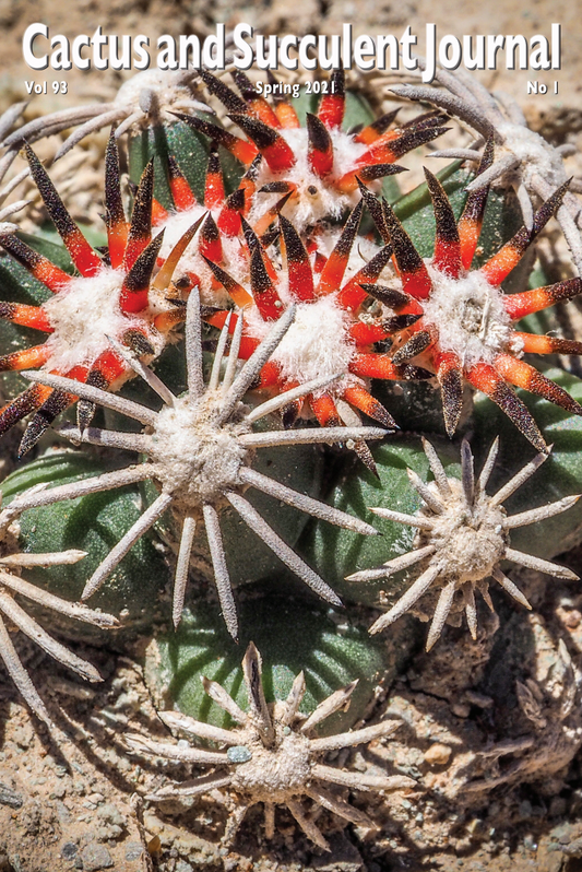 Cactus and Succulent Journal – Cactus and Succulent Society of 